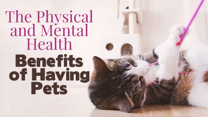 health benefits of having pets