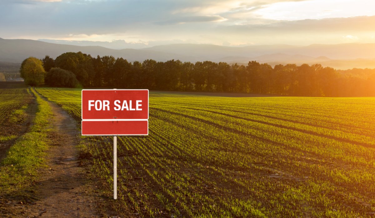 What are the Benefits of buying land with house