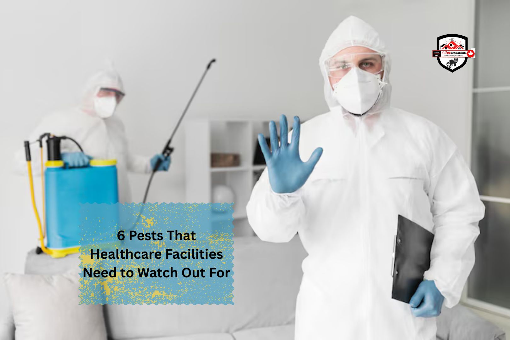 6 Pests That Healthcare Facilities Need to Watch Out For