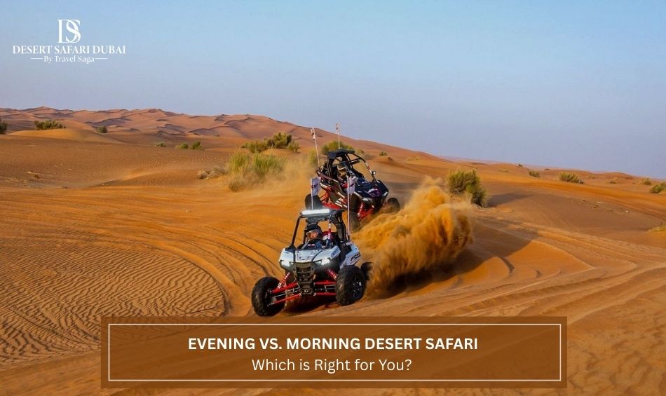 Evening Desert Safari Dubai, Morning Desert Safari
