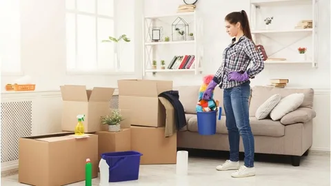 professional movers and packers
