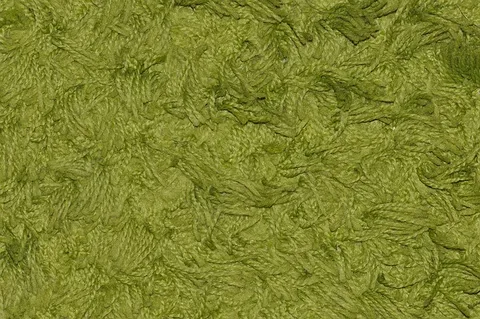 Carpet Coloring