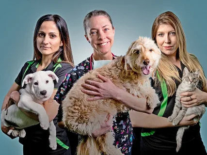 How to Help a Rescue Pet Adjust to a New Home