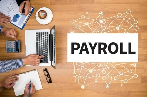 A Beginner’s Guide to Choosing the Right Online Payroll Software