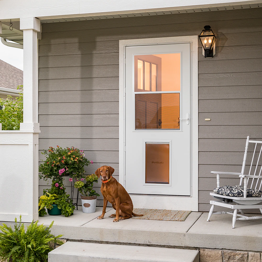 doors, with dog doors already installed