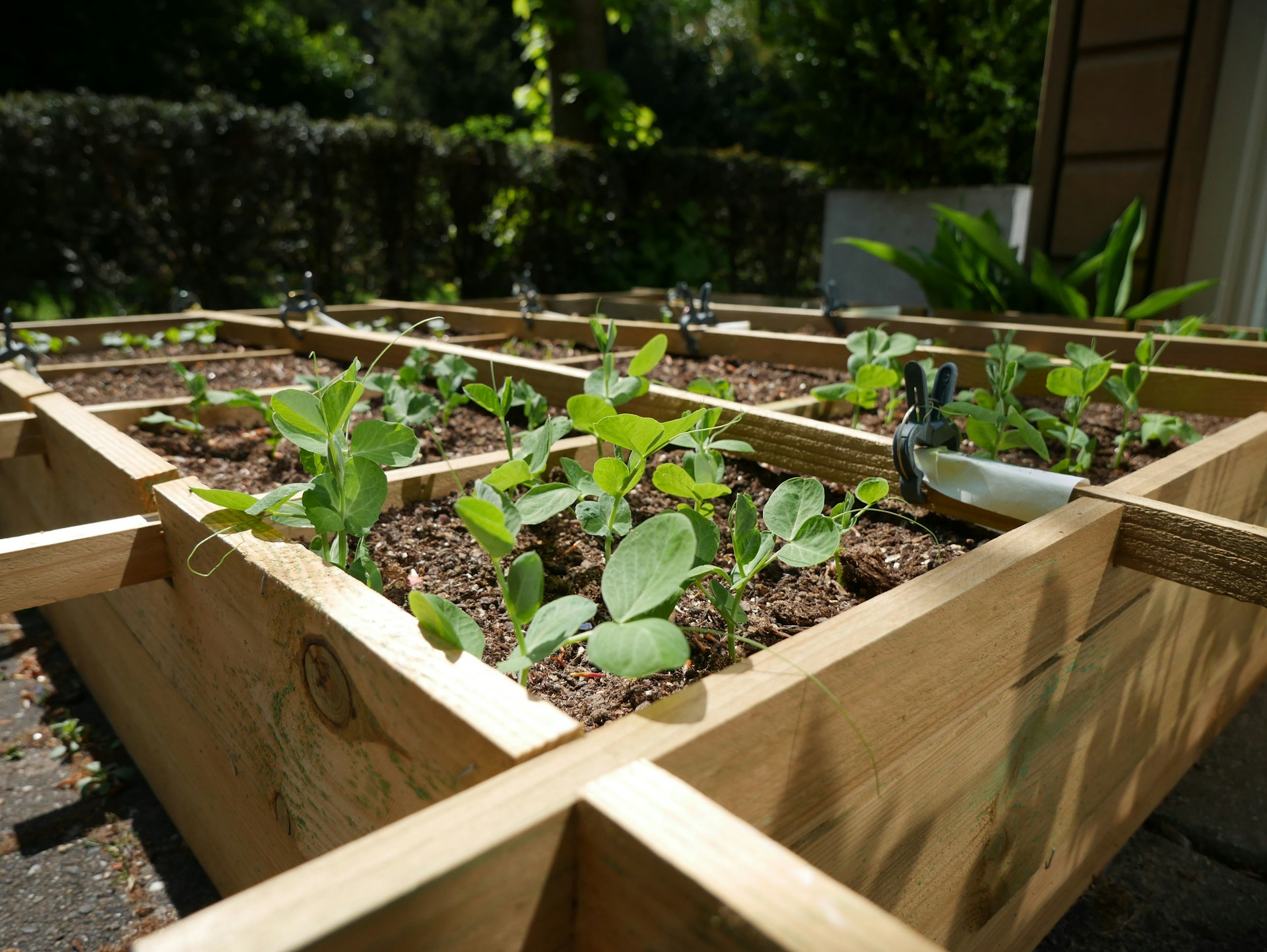 Galvanized Raised Beds