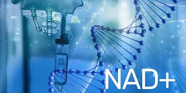 NAD+ Therapy
