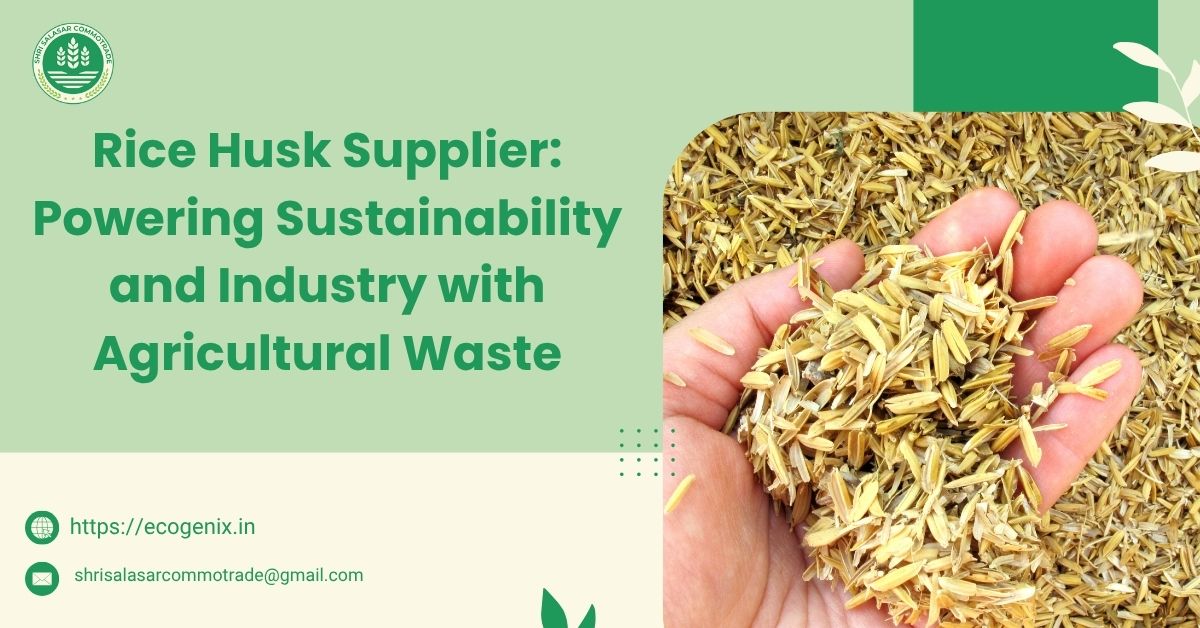 Rice Husk Supplier: Powering Sustainability and Industry with Agricultural Waste