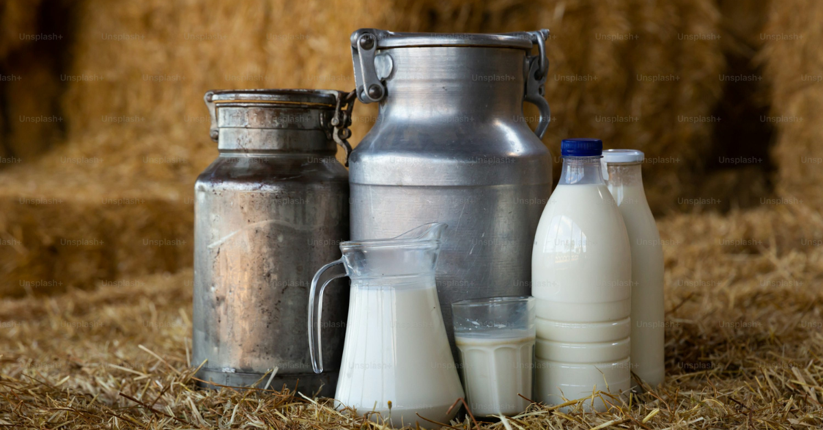 How does the natural composition of organic milk in Chennai promote healthy bone growth in children?