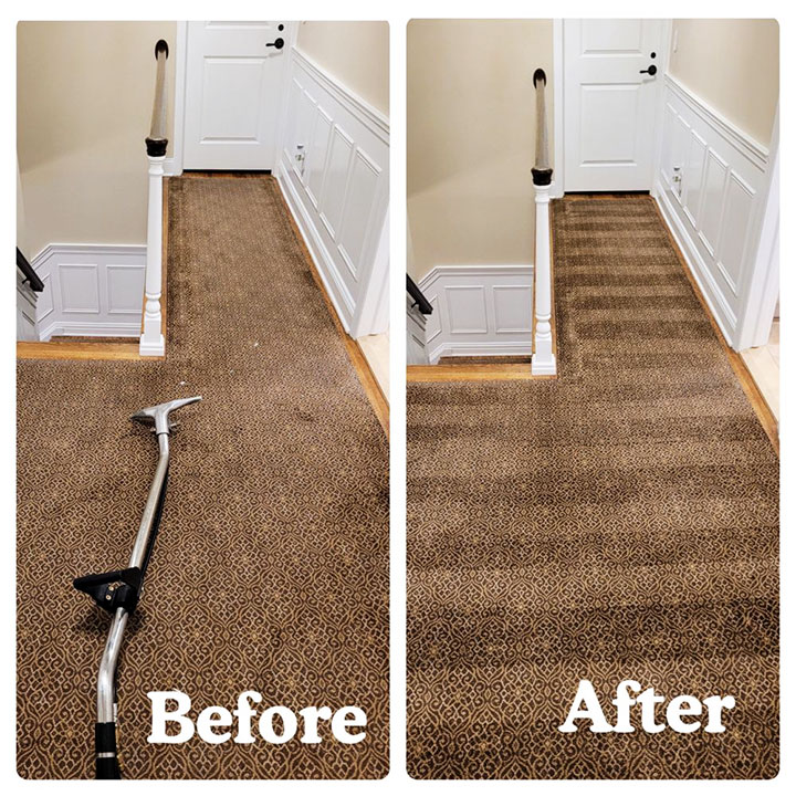 Carpet Cleaning