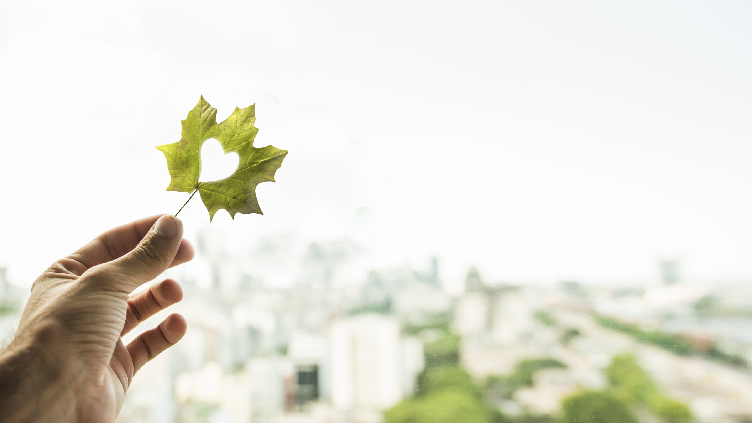 sustainability reporting