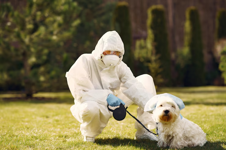 pest control